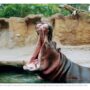 テキサスで一番の動物園