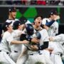 WBC優勝おめでとう、日本！